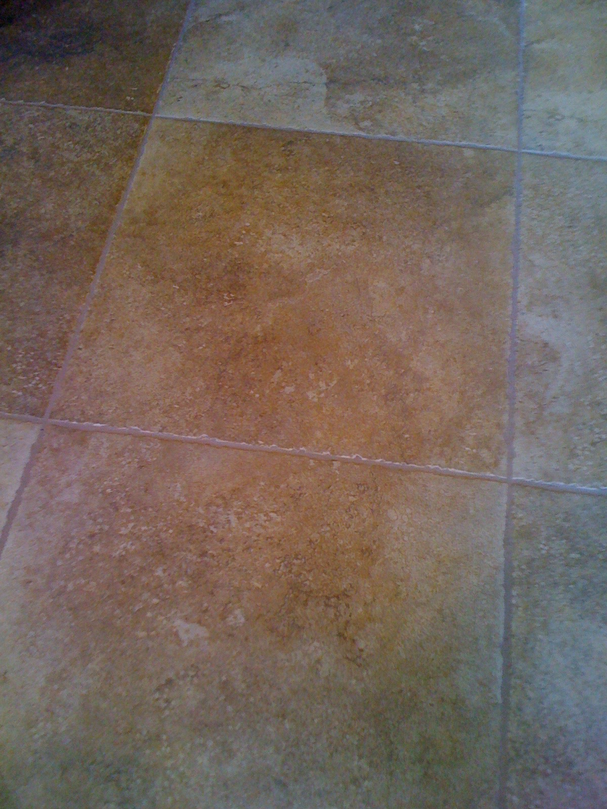 Porcelain Tile Grout After Cleaning And Color Sealing Photo